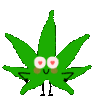 weed