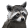 viberaccoon