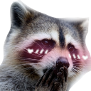 blushingraccoon