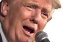 trumpspeech