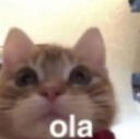 ola