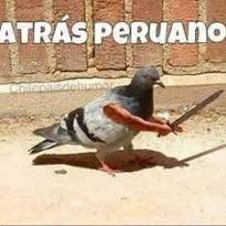 atrasperuano