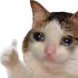 cryingcatthumbsu