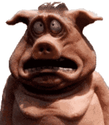 pigsad
