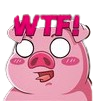 pigwtf