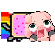 pignyancat