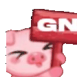 piggn