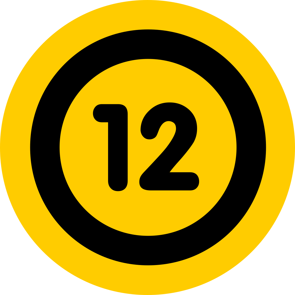 12ageicon