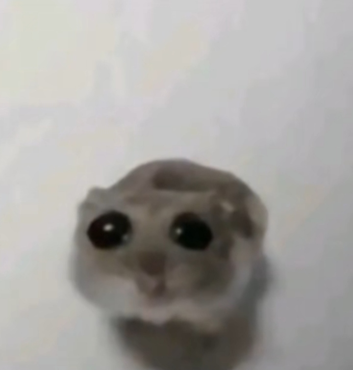 sadhamster