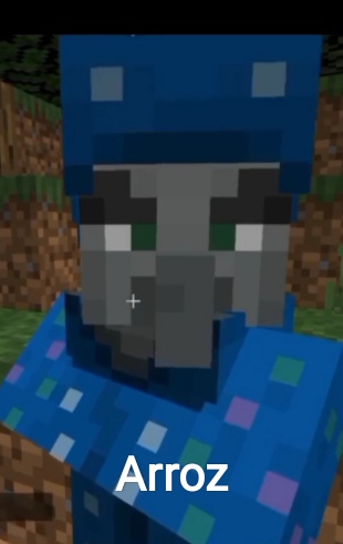 arroz