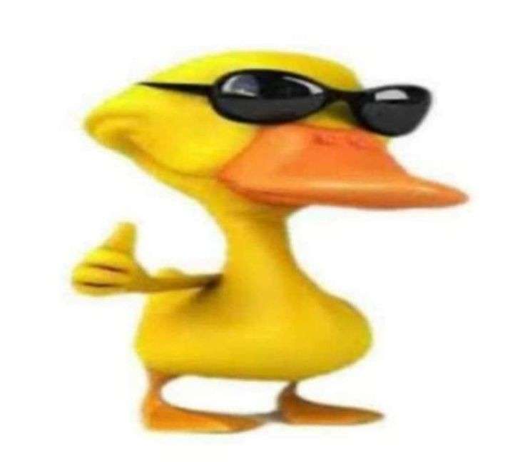 duckthumbsup