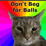 dontbegforballs