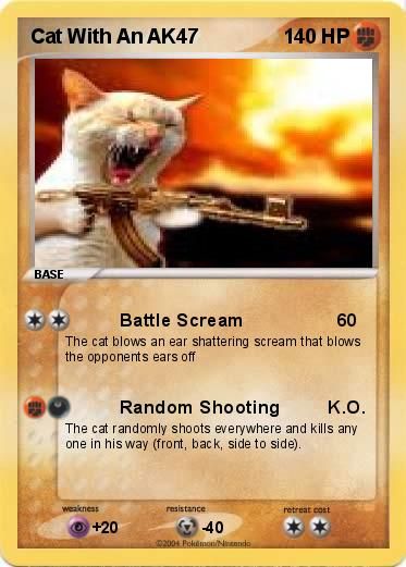 ak47cat