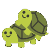 turtles