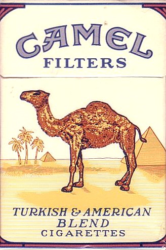 camel