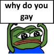 whydoyougaypepe
