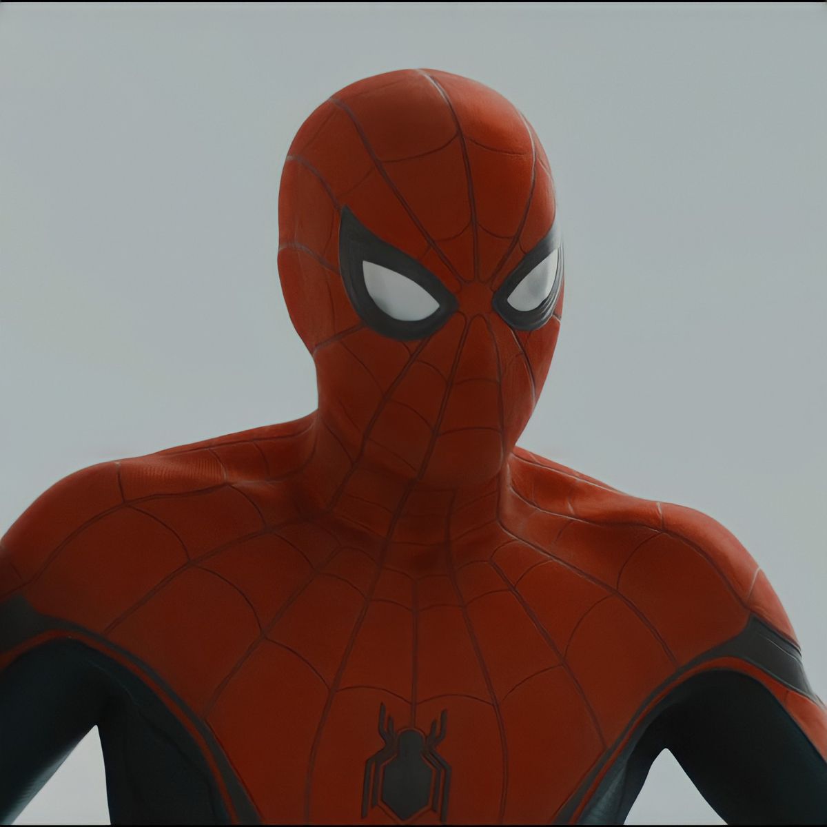 spideytom