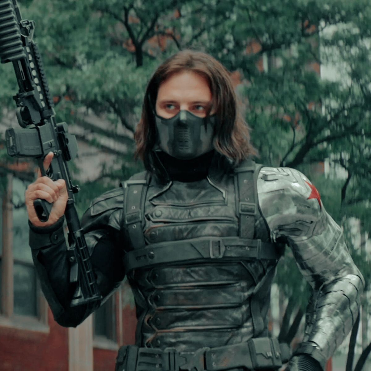 bucky