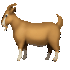 goat