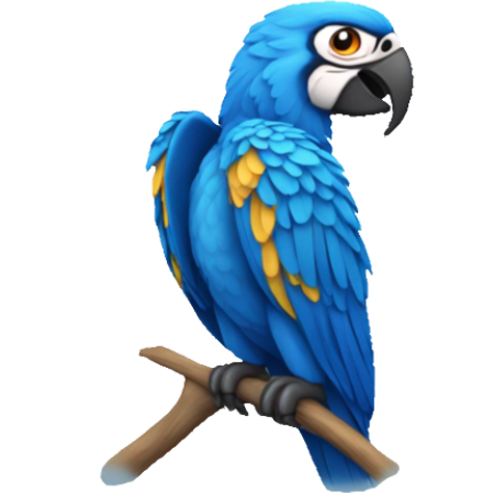 macaw