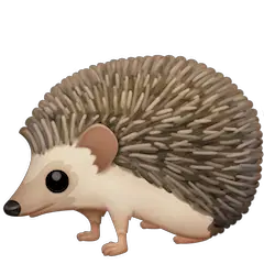 hedgehog