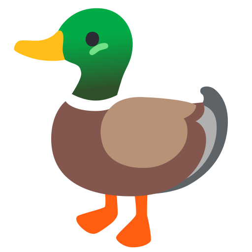 duck