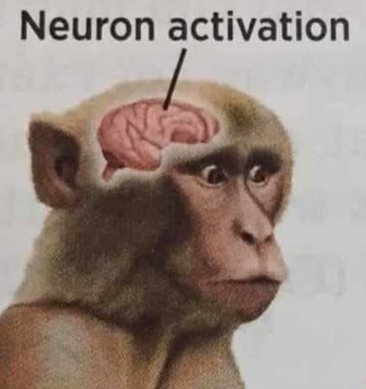 neuronactivate