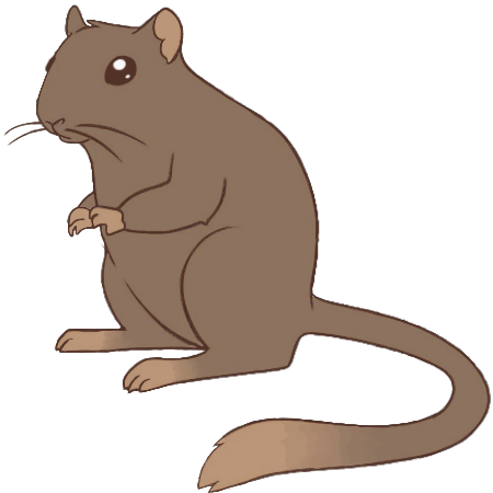 gerbil