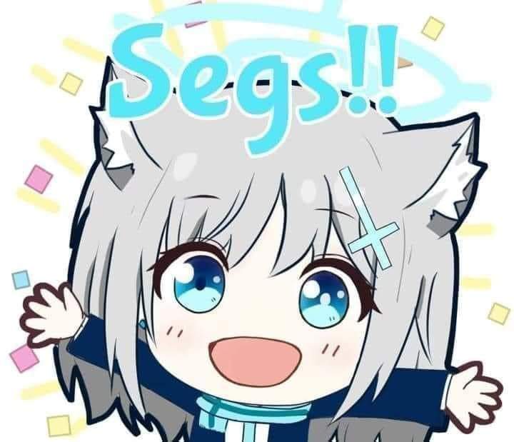 segs