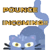 greycatpounceinc