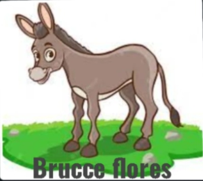 burro