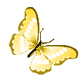 yellowbutterfly