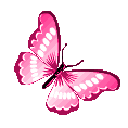 pinkbutterfly