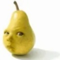 pear