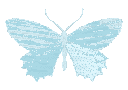 chromebutterfly