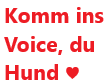 voicehund