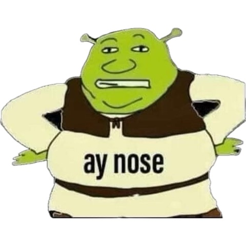 aynose
