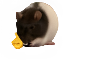 ratnono