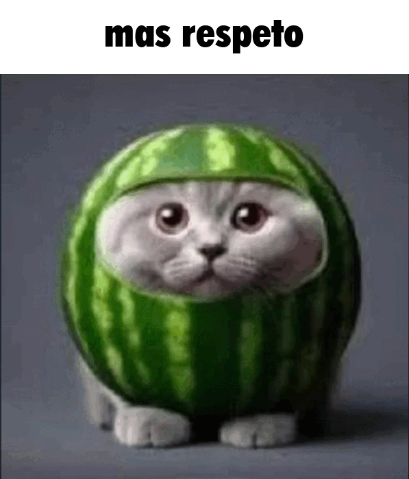 msrespeto