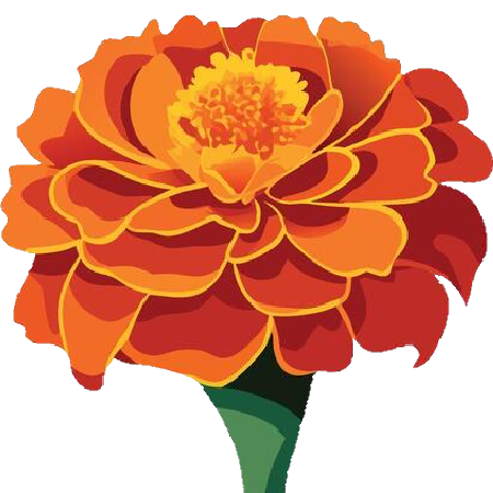 flowermarigold