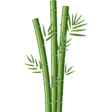 bamboo