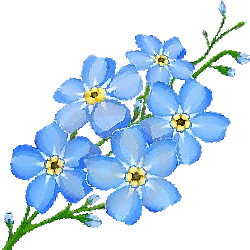 forgetmenotflowe