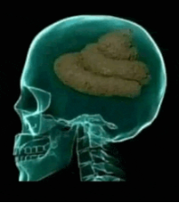 brainpoob