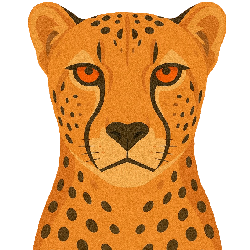 cheetah