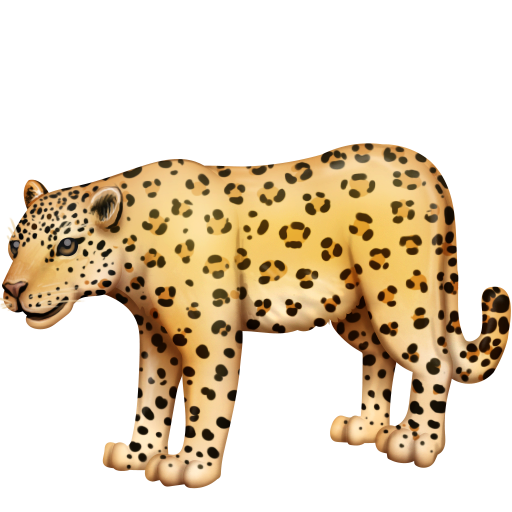 leopard