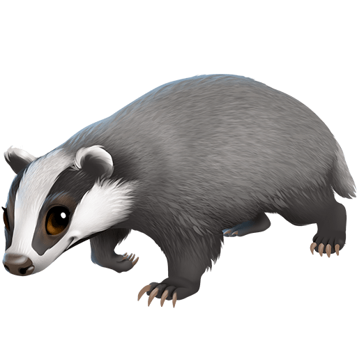 badger