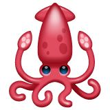 squid