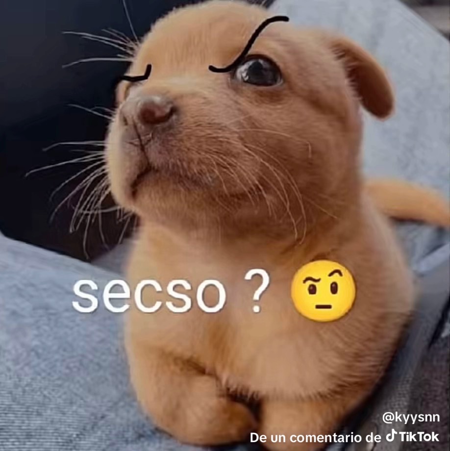seso