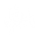allah
