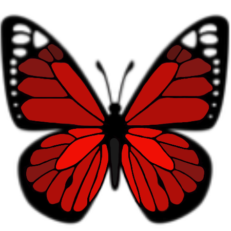 butterfly